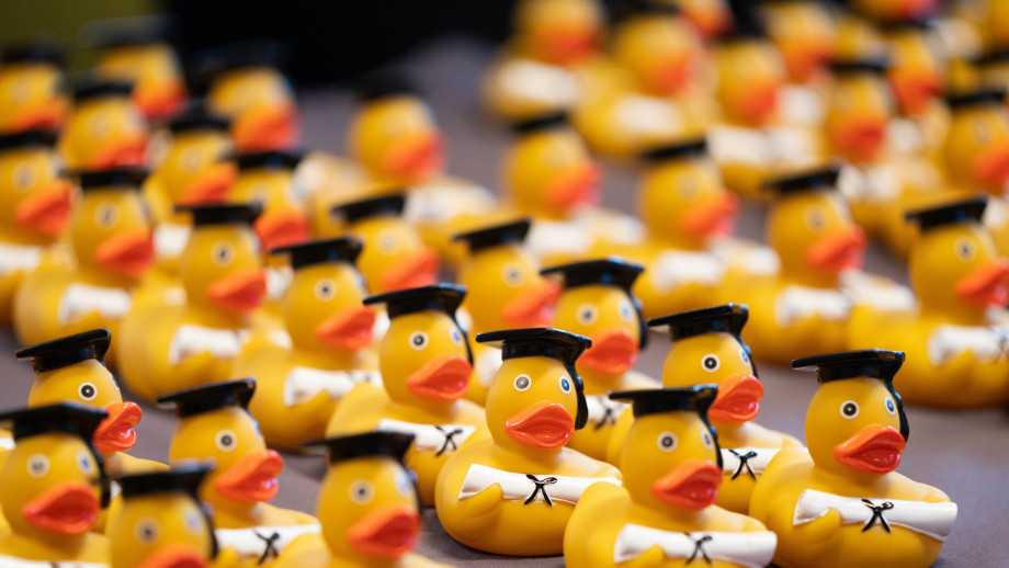 Over 30 hand-size rubber ducks with graduation caps and diplomas set on a table.