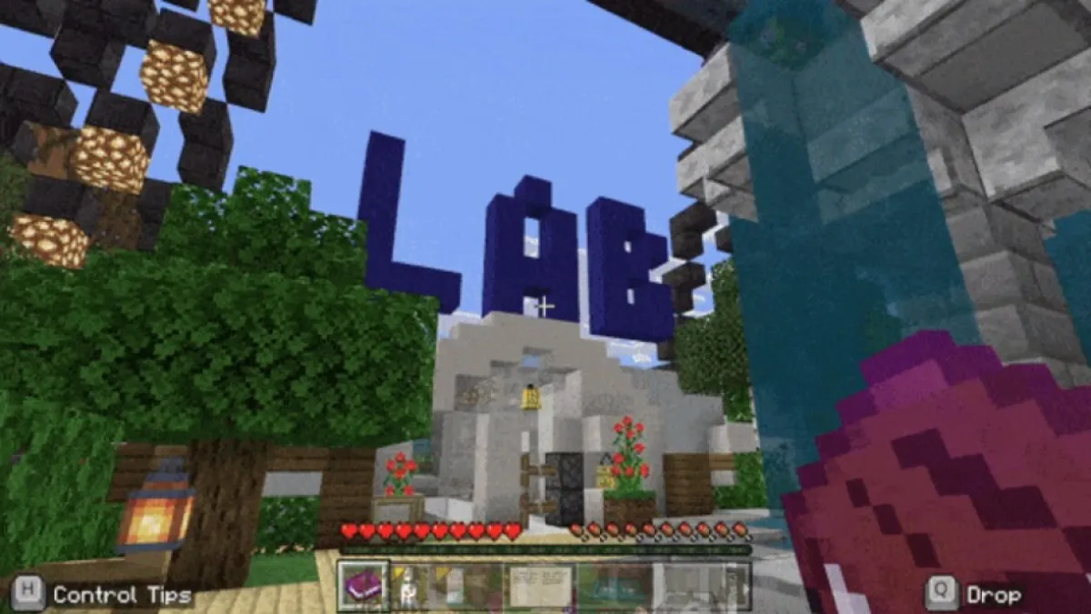 Screenshot during the game of Minecraft