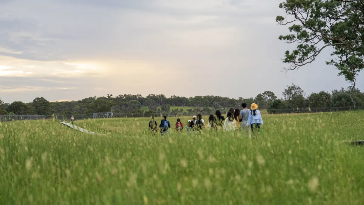 A group of people walking through a grassland. 