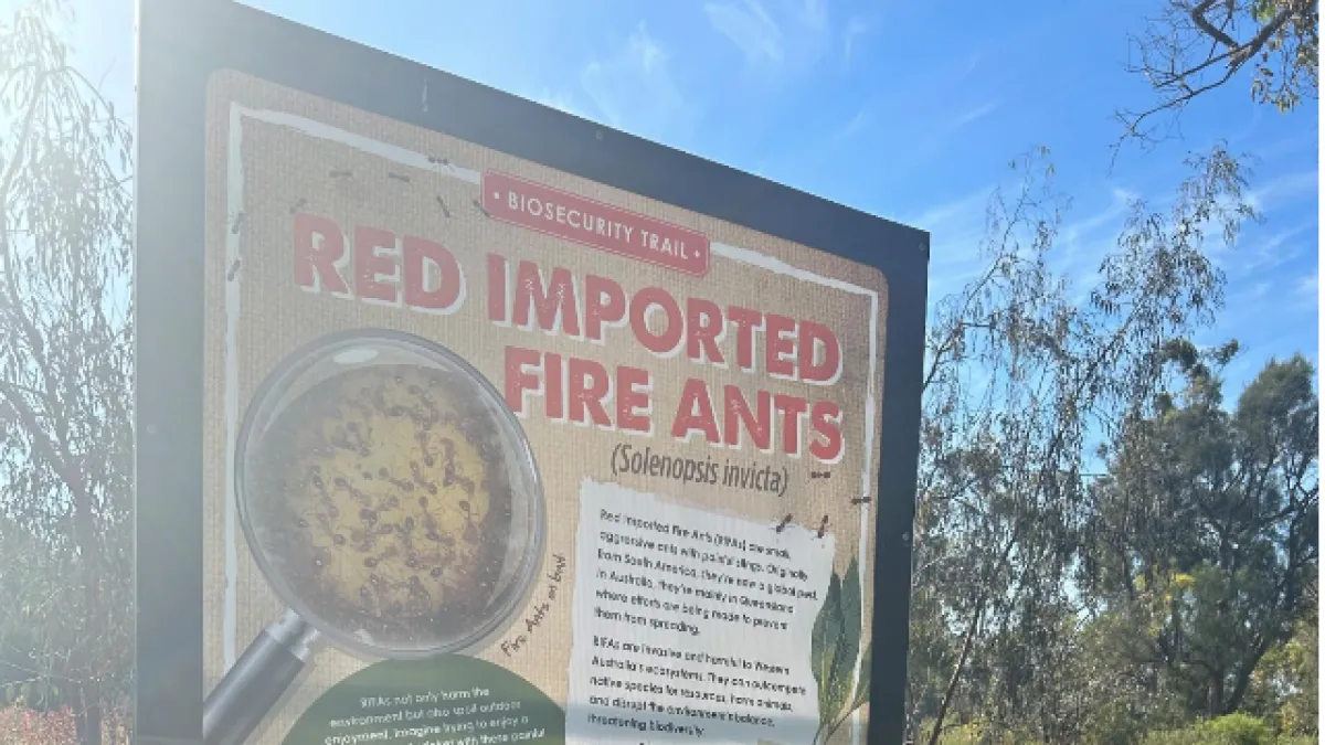 Park sign sharing insight about Red Imported Fire Ants with QR codes to learn more about the species.