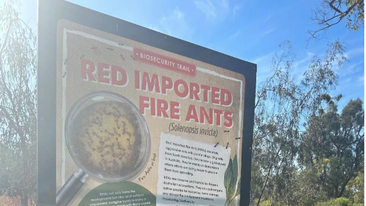 Park sign sharing insight about Red Imported Fire Ants with QR codes to learn more about the species. 