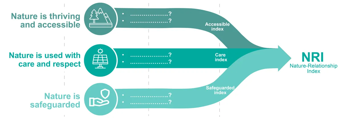 NRI visualisation 01