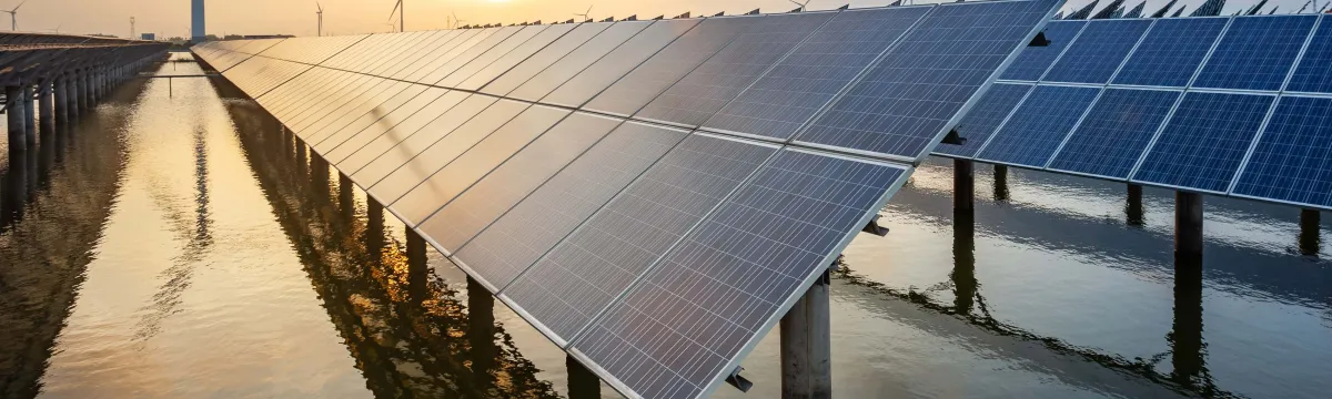 Landscape of thousands of solar panels, in between rows of water, and larger wind turbines in the background.