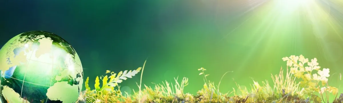 A glass globe laying on a hill of grass and small ferns, with sunlight beaming down.
