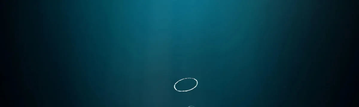 Person in a wet suite blowing air bubbles from beneath the ocean.