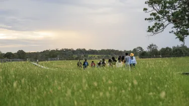 A group of people walking through a grassland.