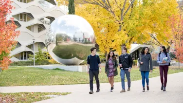 Some students walking on a footpath